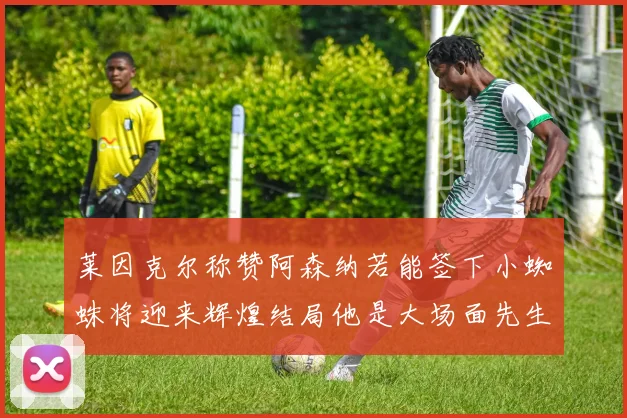 莱因克尔称赞阿森纳若能签下小蜘蛛将迎来辉煌结局他是大场面先生的最佳人选
