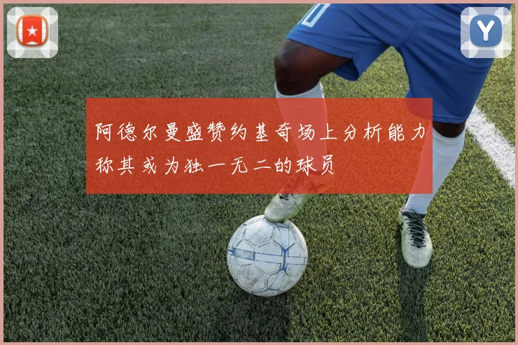 阿德尔曼盛赞约基奇场上分析能力称其或为独一无二的球员