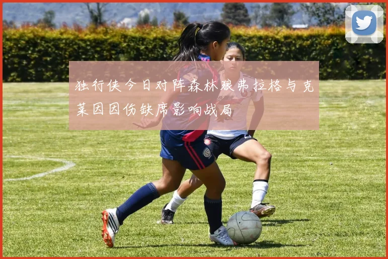 独行侠今日对阵森林狼弗拉格与克莱因因伤缺席影响战局