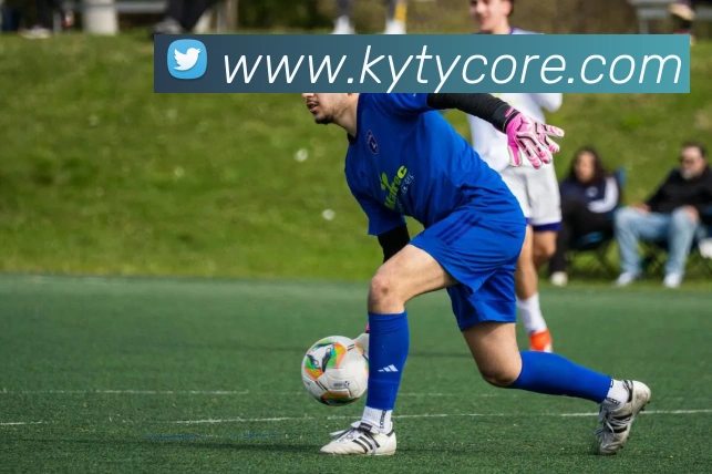 开云体育服务体系